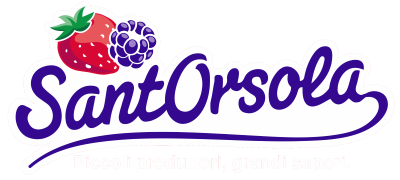 Sant'Orsola s.c.a.